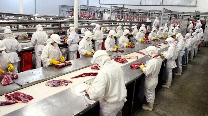 Minerva estuda capitalização de US$ 3 bi para tentar união com BRF