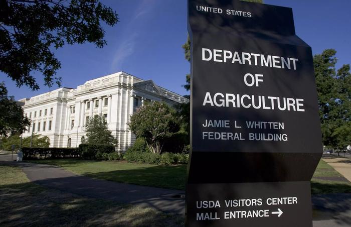 USDA aumenta previsão para soja brasileira na safra 2018/19