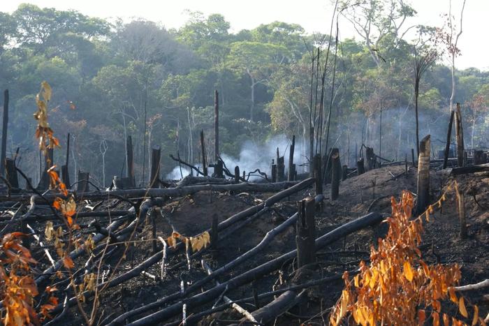 Flexibilização de regra ambiental do RenovaBio em pauta