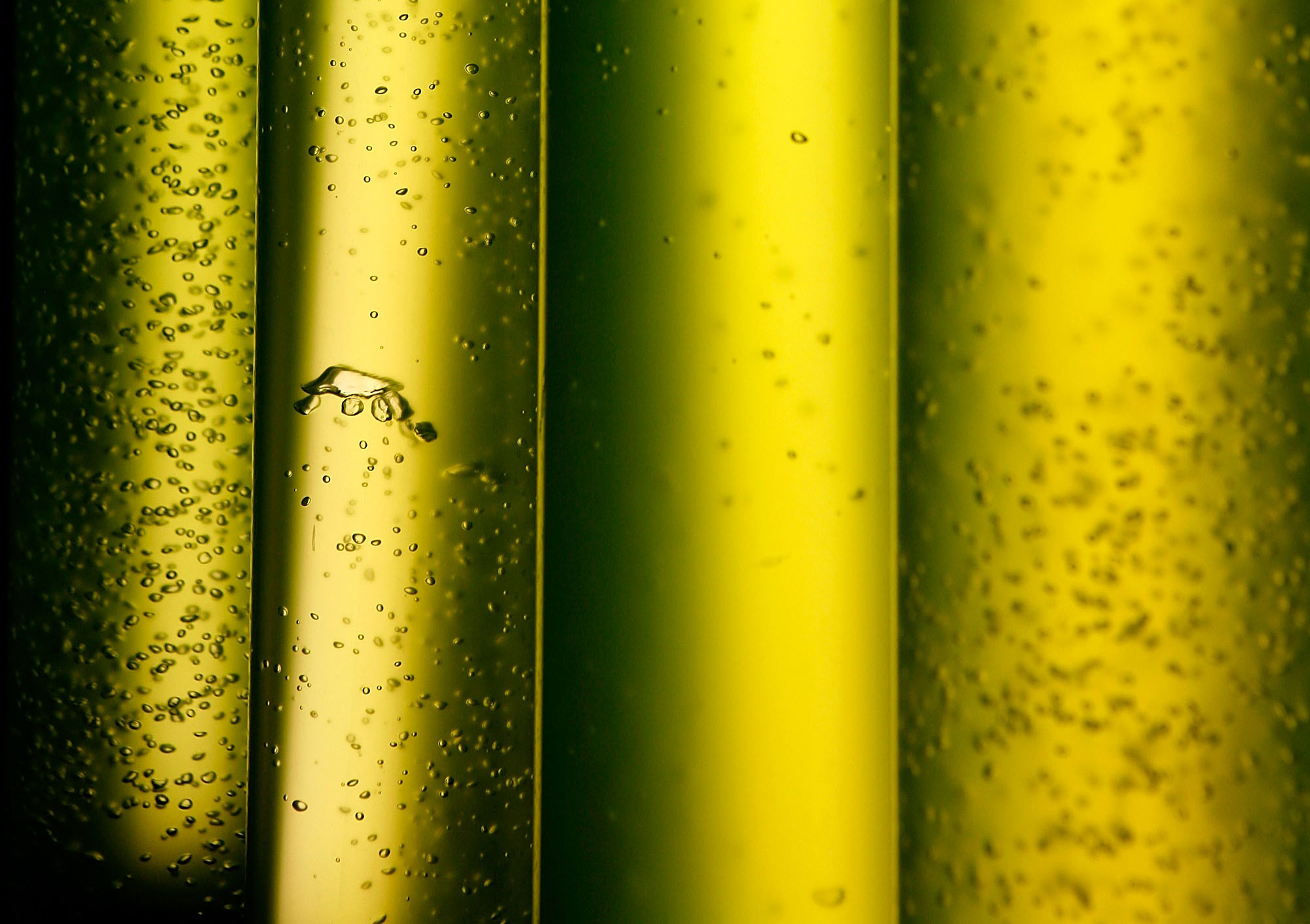 RenovaBio pode render mais de R$ 1,2 bilhão ao setor de biodiesel 