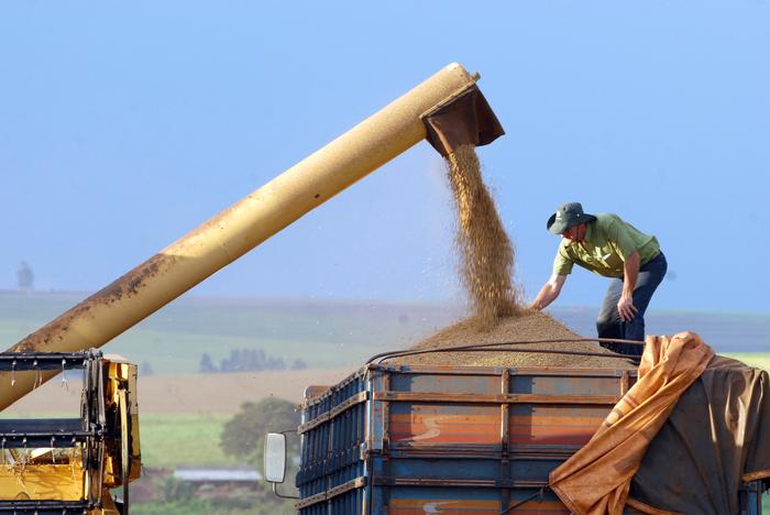 Soja se valoriza puxada pela demanda por farelo