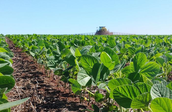 USDA mostra sojicultura brasileira abrindo vantagem sobre a dos EUA