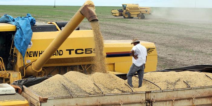 Brasil pode ter que racionar demanda de soja no 2º semestre, alerta analista