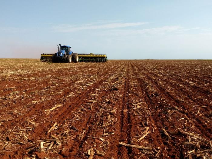 Após recorde, produtividade da soja no MT deve cair até 10% 