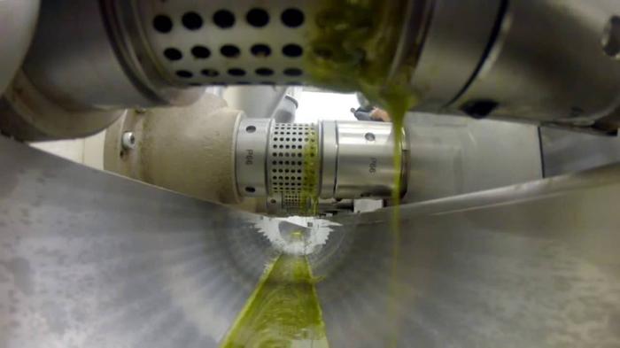 Biodiesel de soja é apenas 70% da produção do Brasil em 2018