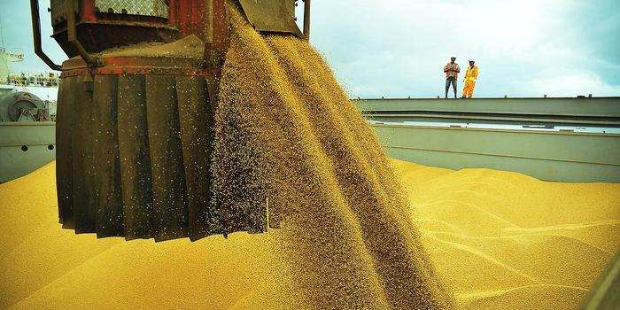 Indústrias agora veem queda de 25% no valor das exportações de soja
