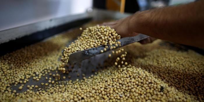 A produção de biodiesel no Brasil com matéria-prima importada