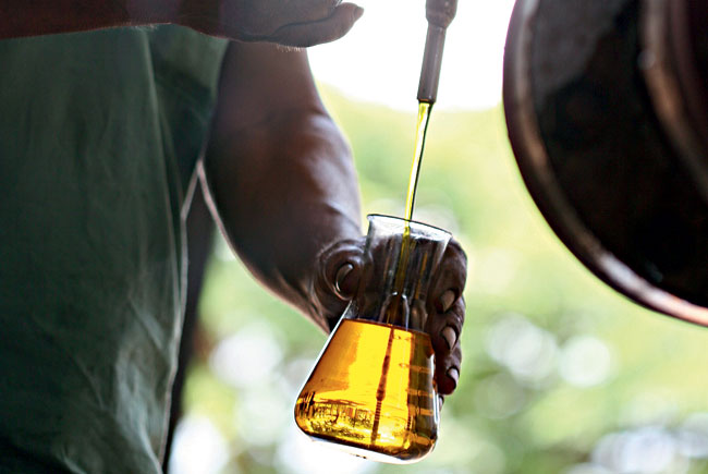 Usinas faturaram R$ 15,4 bilhões em 2018 com venda de biodiesel