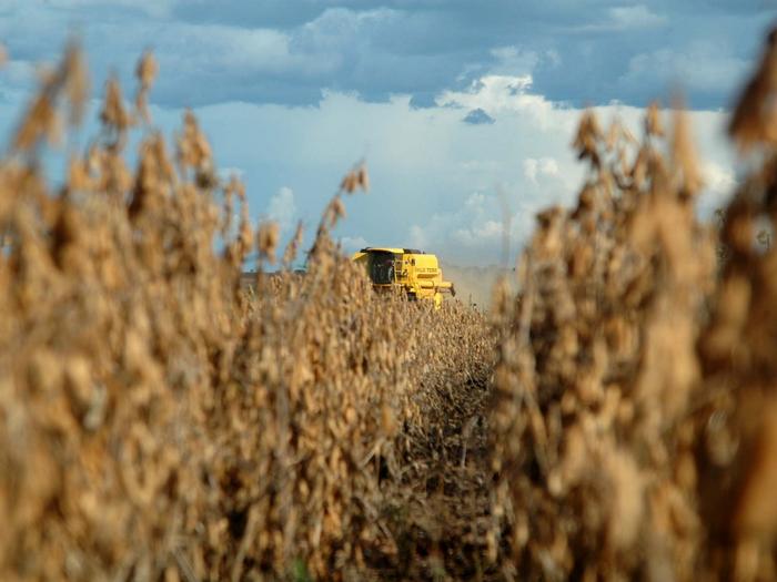Colheita da soja chega a 52% da área no Brasil, diz AgRural