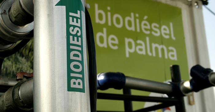 UE impõe limites ao uso óleo de palma na produção de biocombustíveis 