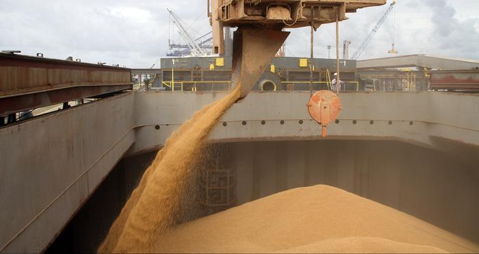 Exportações de soja em mantiveram em ritmo acelerado no 1º trimestre