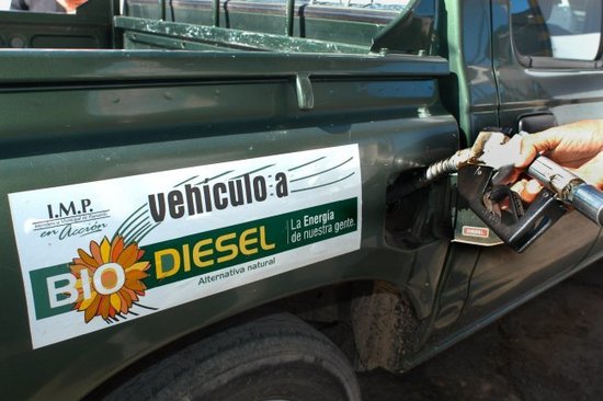 Câmara do Paraguai aprova projeto de lei prevendo B12