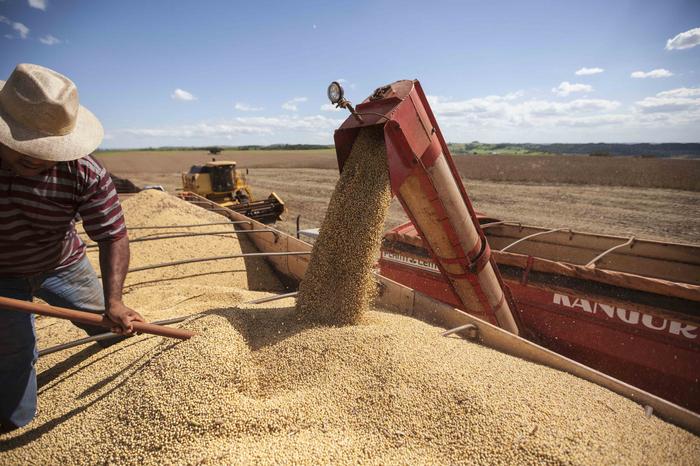 Abiove eleva estimativa de produção de soja do Brasil
