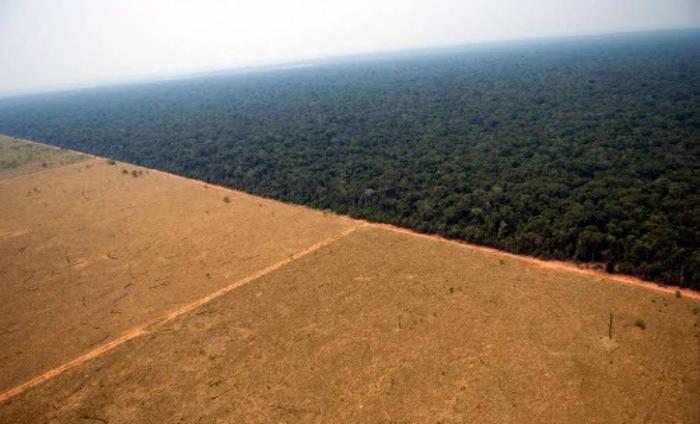 Assim a soja invade a Amazônia