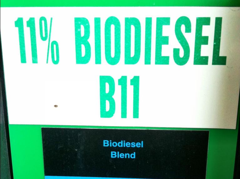 Quando vem o B11?