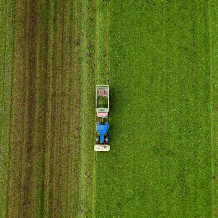Biocombustíveis podem reduzir 70% das emissões globais