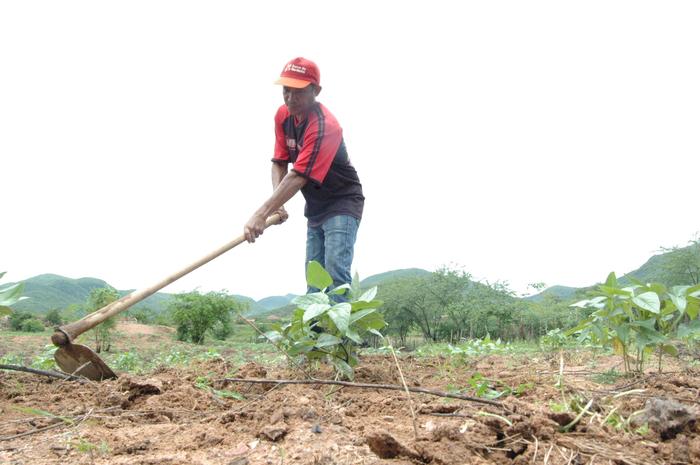 Ministério da Agricultura está finalizando nova portaria do Selo Social