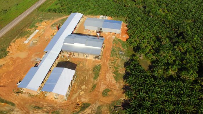 Dona da Amazonbio inaugura unidade de processamento de palma 