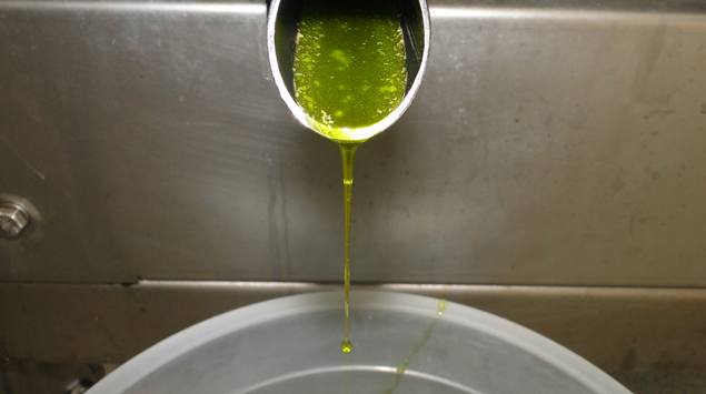 Soja tem maior participação mensal na produção de biodiesel desde 2016