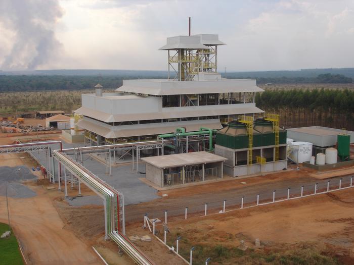 Biodiesel fica de fora do joint venture entre Bunge e BP