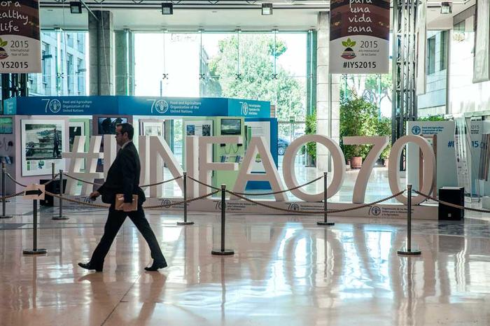 Mercado global de óleos vegetais apresentou alta de 0,8% em julho
