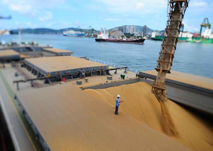 Brasil exportou 7,82 milhões de toneladas de soja em julho