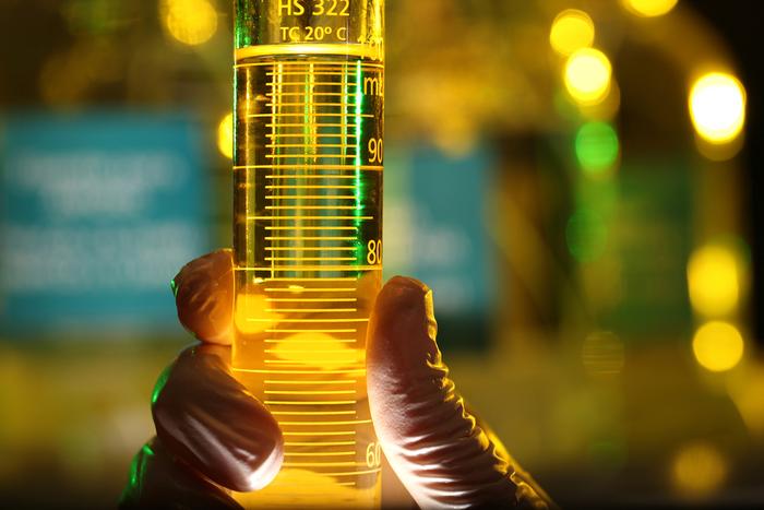 Como deve funcionar o Leilão Complementar de Biodiesel