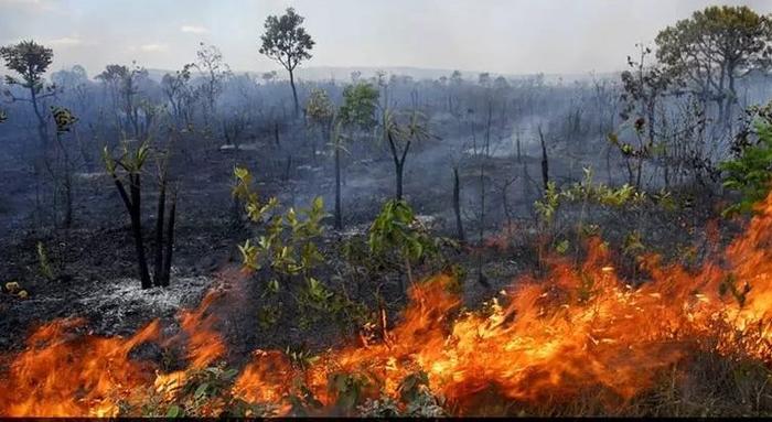 Indústria de soja é firme no compromisso com sustentabilidade, diz Abiove