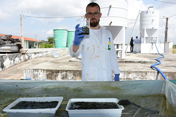 Pesquisa no RN estuda microalgas como fonte de biocombustível