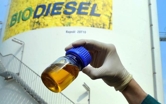 Alemanha: consumo de biodiesel cresce e empata com o de 2018