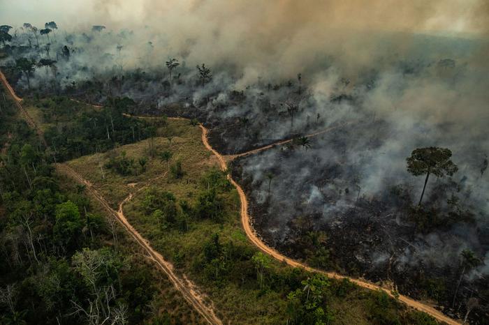 ADM, Bunge e Cargill dizem não comprar produtos em áreas desmatadas na Amazônia