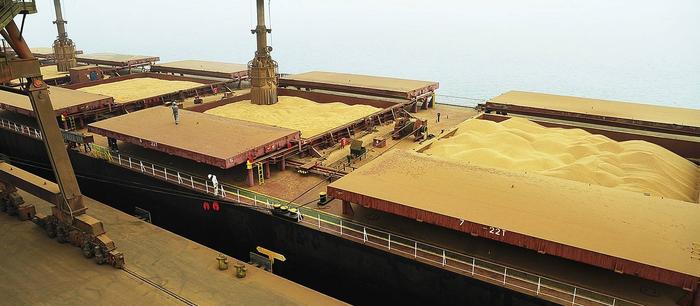 Exportações brasileiras de soja recuam 34,4% em agosto