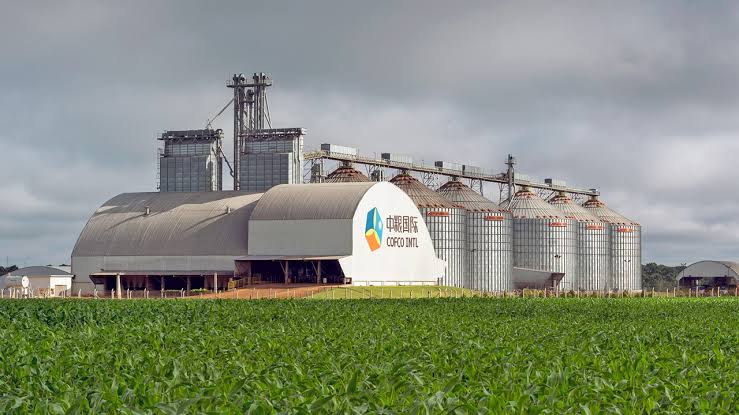Cofco planeja investir mais no Brasil, mas será seletiva, diz executivo
