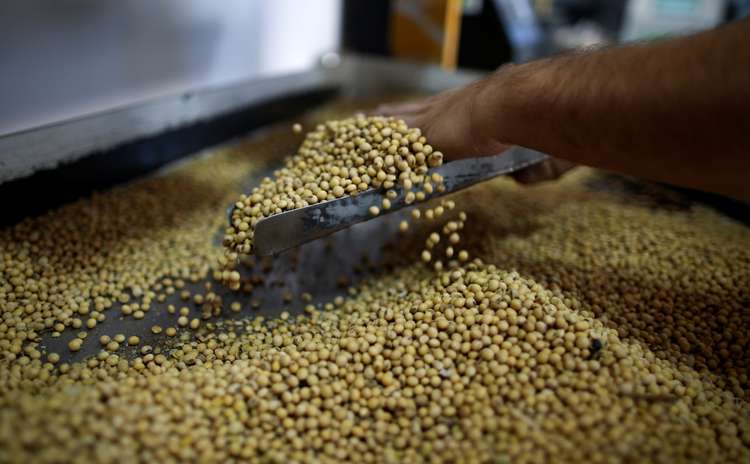 Soja sobe novamente e saca é vendida por até R$ 90 no Brasil