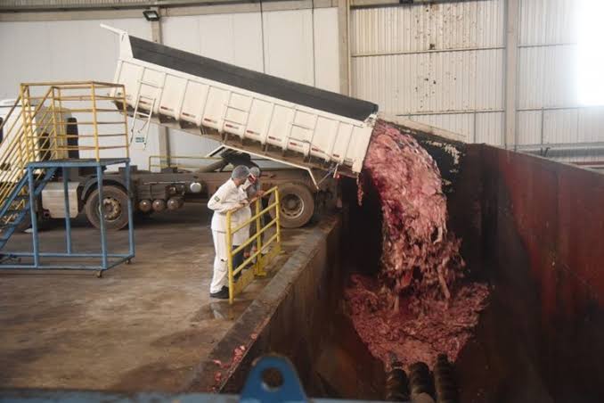 Agricultura publica Instrução Normativa sobre reciclagem de carcaças 