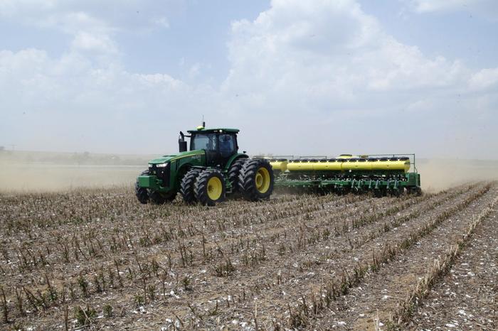Conab vê aumento de 5% na safra de soja 2019/20 do Brasil 