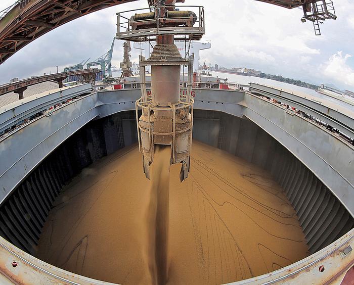 Exportação de soja do Brasil para China pode recuar até 10% em 19/20, diz Agroconsult
