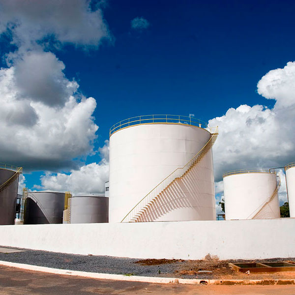 A demanda e o cuidado no preço do biodiesel no Leilão da pandemia