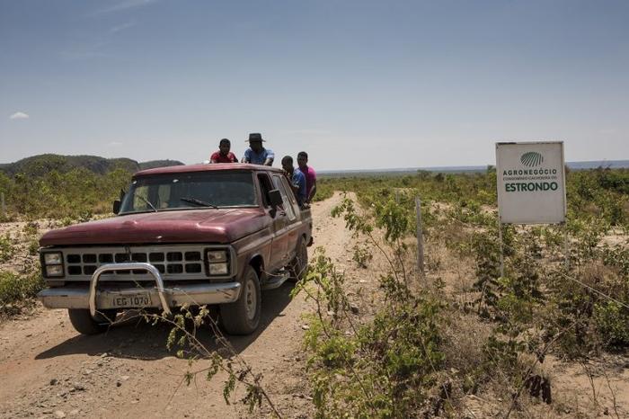 Bunge e Cargill compram soja ‘contaminada por violência e desmatamento’ do Agronegócio Estrondo, diz Greenpeace