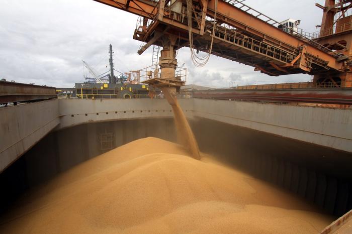 Datagro vê exportação de soja do Brasil em recorde de 85,5 milhões de toneladas em 2021