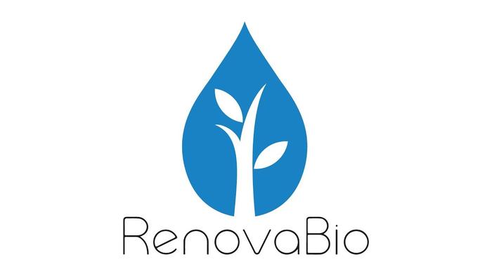 ANP publica resolução com regras do lastro para geração de CBios 