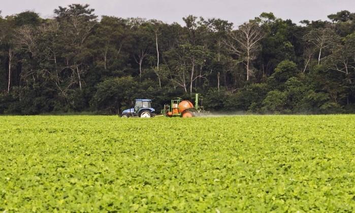 Grupo com 87 empresas europeias cobra redução no desmatamento para manter negócios com Brasil