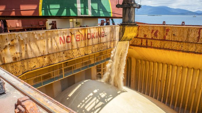 Brasil exportou 83 milhões de toneladas de soja em 2020
