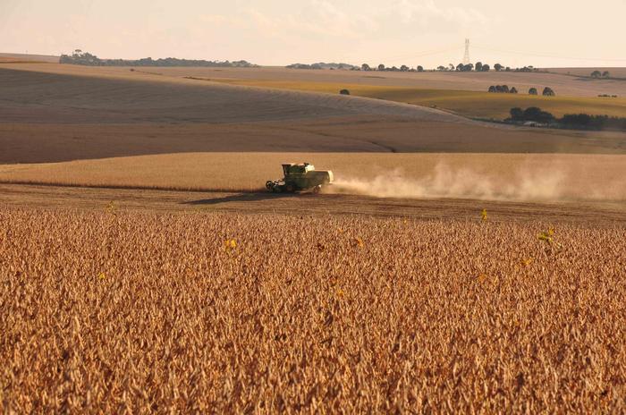 Colheita de soja no Brasil alcança 4,2% da área, diz AgRural