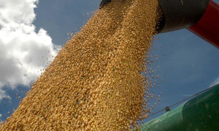 Soja teve 66,3% de participação na produção de biodiesel em janeiro
