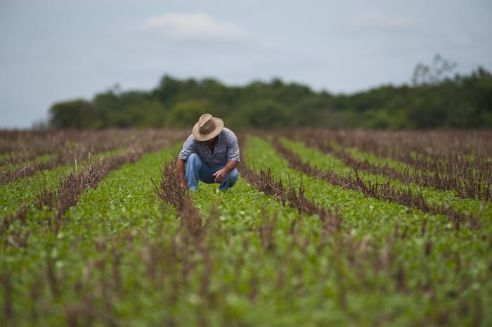 Caibiense perde o direito ao Selo Combustível Social