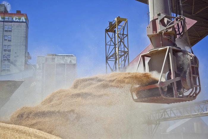 Argentina confirma alta de imposto de exportação para soja, mas diferencia pequenos produtores