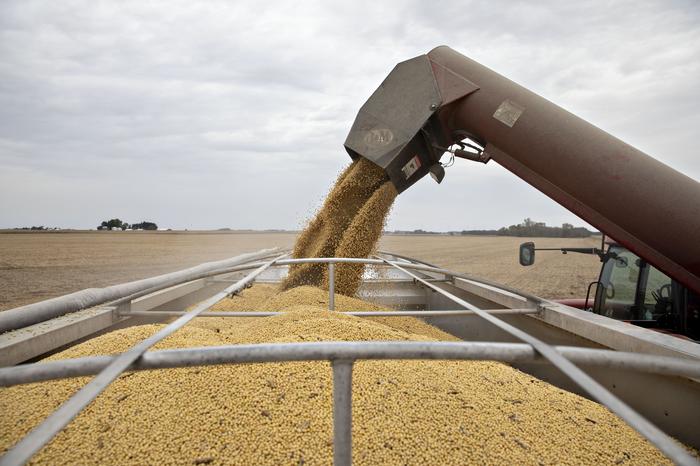 Soja bate em R$ 100 no disponível do Rio Grande do Sul