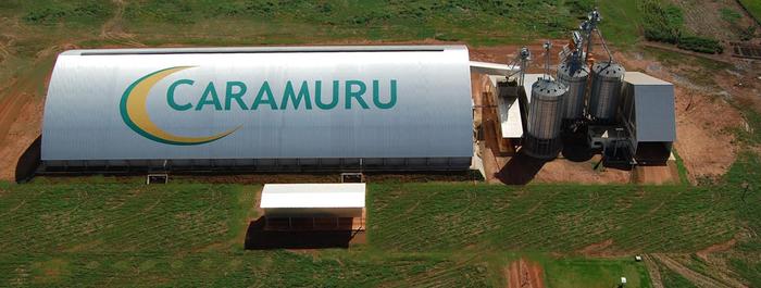 Restrições na Argentina podem favorecer farelo de soja do Brasil, diz Caramuru