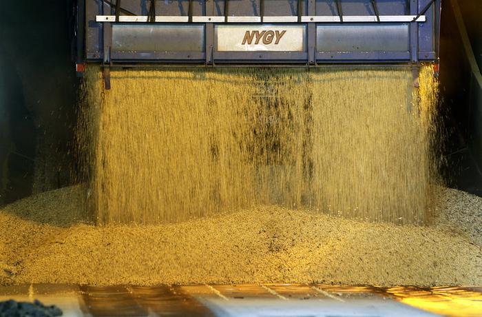 Exportação de soja do Brasil pode atingir recorde histórico em março, diz Anec